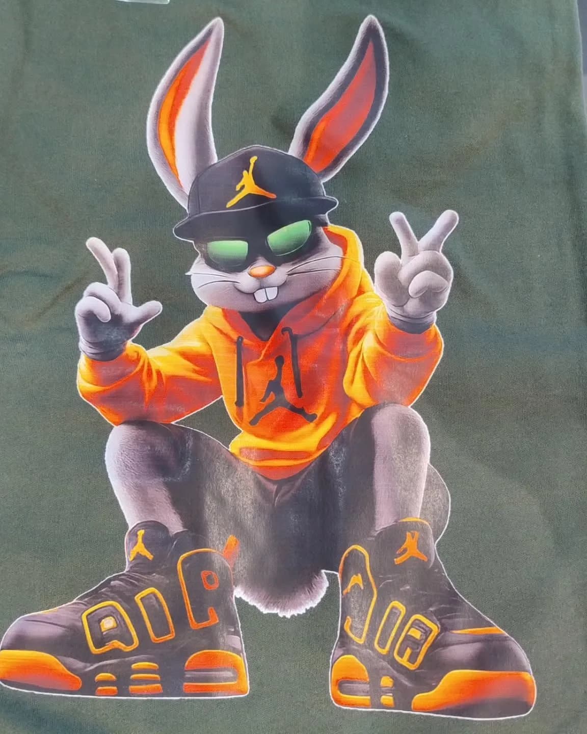 Camiseta Jordan coelho